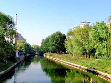 学习厨艺_学厨艺去什么学校