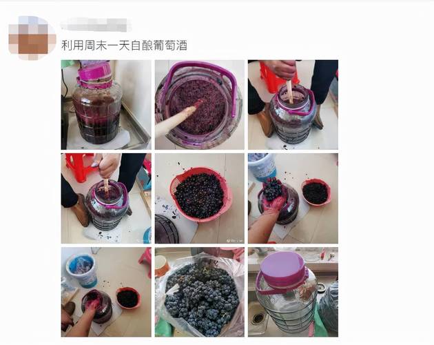 自己怎么做葡萄酒_自己怎么做葡萄酒视频