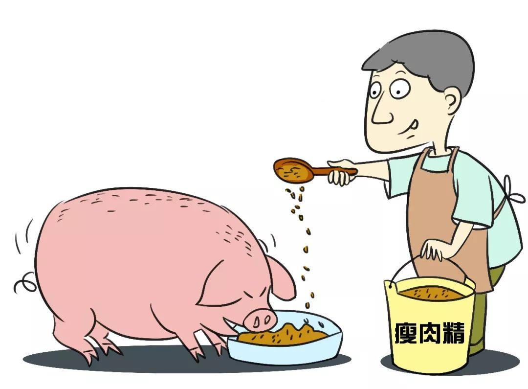 探索猪肉精：来源、影响及应对措施