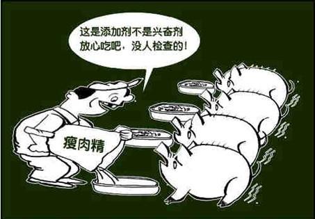 探索猪肉精：来源、影响及应对措施