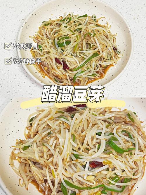 豆芽菜做法大全：简单又美味的豆芽菜家常菜分享！