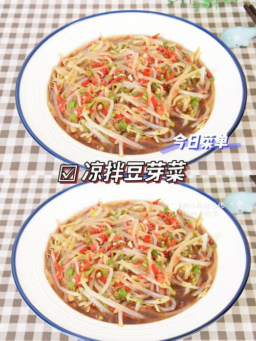 豆芽菜做法大全：简单又美味的豆芽菜家常菜分享！