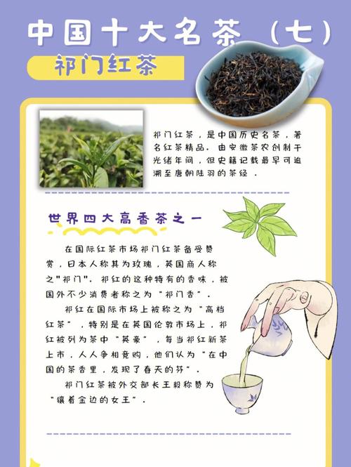 细说红茶皇后——祁门红茶