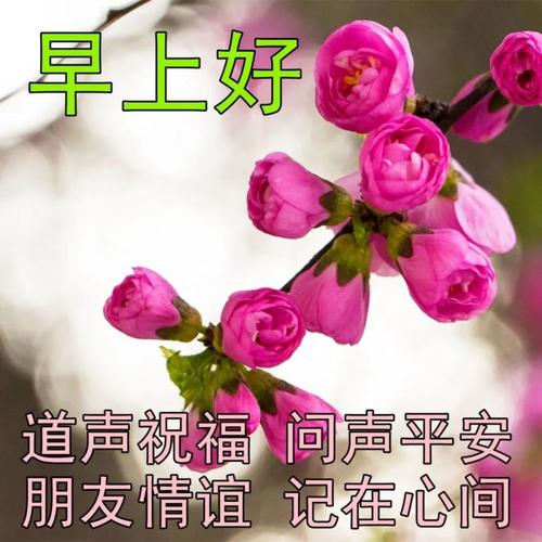 早安图片最新早上好祝福图片