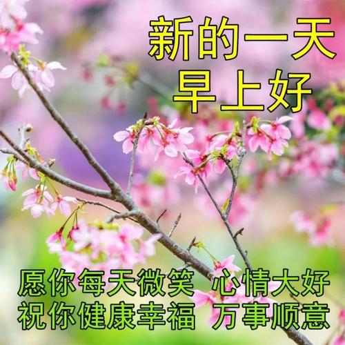 早安图片最新早上好祝福图片