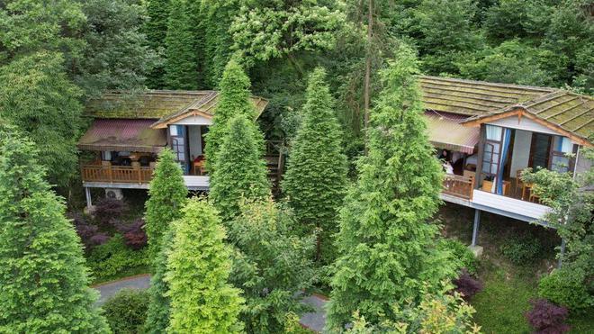 天然空调屋成都25h车程的避暑胜地享青山绿水住山野林间吃特色美食