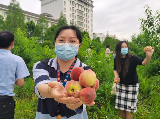 寻美仙桃全国多位网络大V被仙桃“圈粉”