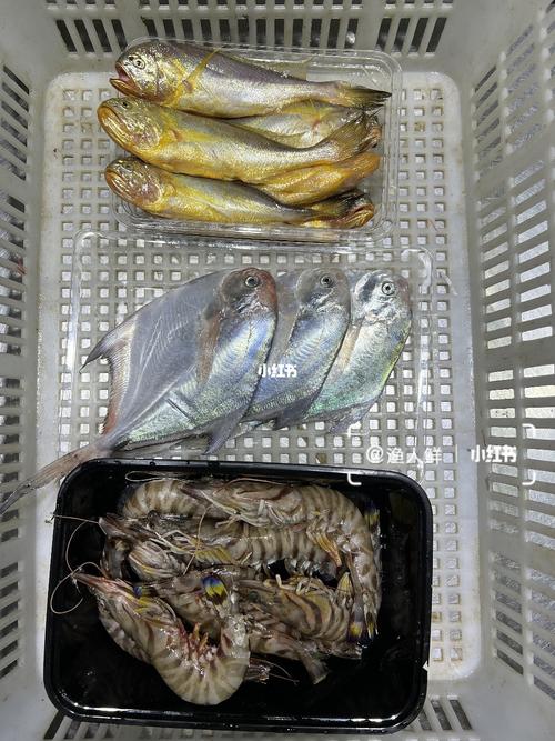 爬虾鲳鱼等海鲜价格飞涨贝壳类海鲜价格浮动不大