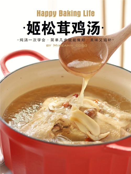 鸡汤做法大全_鸡汤做法大全菜谱