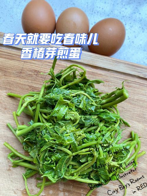 传统美食香椿芽特色做法揭秘轻松学会香椿芽的制作方法