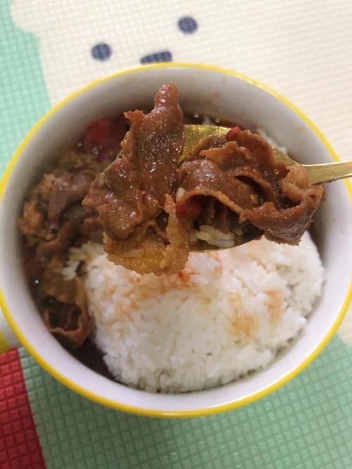 怎样制作美味的吉野家牛肉饭