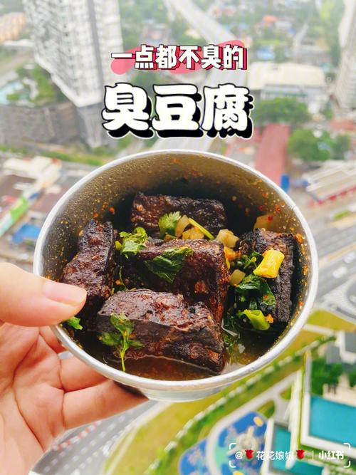 尝鲜美味，学做上佳臭豆腐，看这儿！