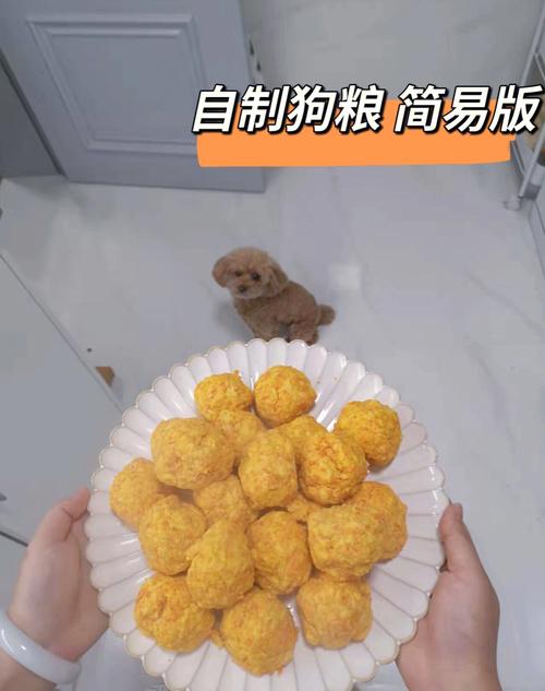 如何制作狗粮_如何制作狗粮视频