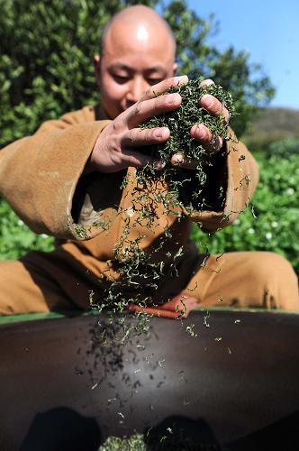 普陀佛茶：发现身心平静的法门