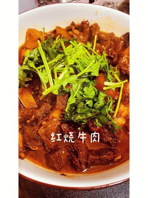 红烧牛肉的做法大全_