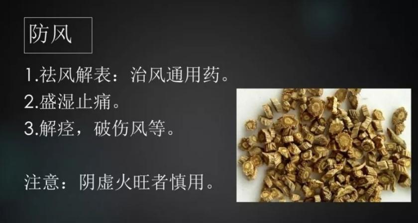 防风功效大揭秘：强力阻挡风寒，守护健康身体