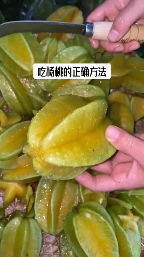 杨桃怎么吃_杨桃怎么吃正确方法