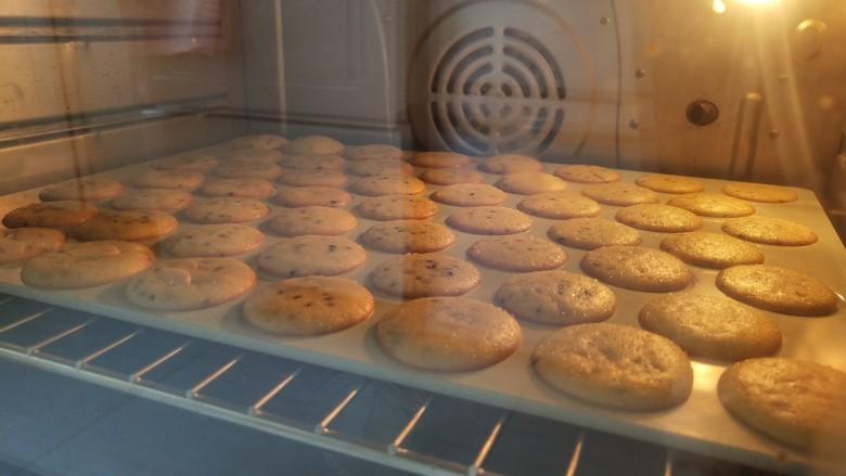 烘烤饼干_烘烤饼干的最佳温度