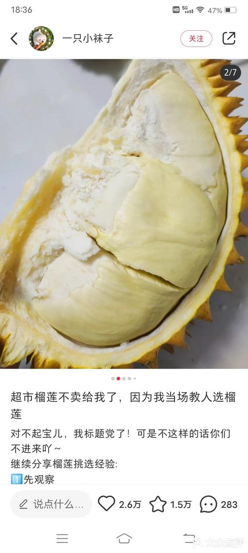 榴莲怎么挑_榴莲怎么挑选肉多饱满的