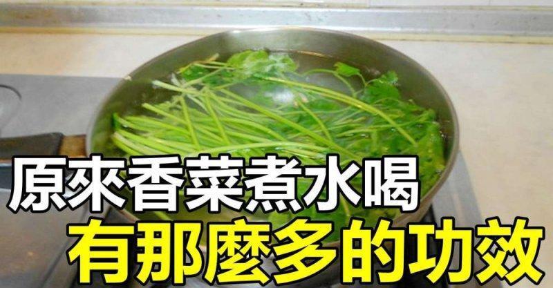 遭人嫌弃的“香菜”用来煮水喝竟有这3大功效你不妨看看