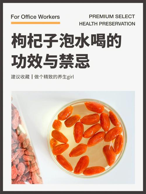 枸杞的功效与禁忌 保健与谨慎同行