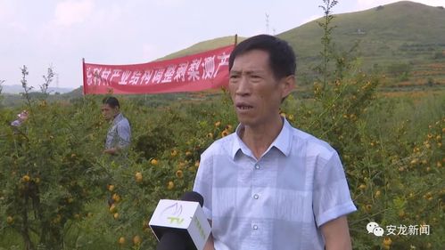 贵州省山地刺梨生产机械化试验示范基地揭牌