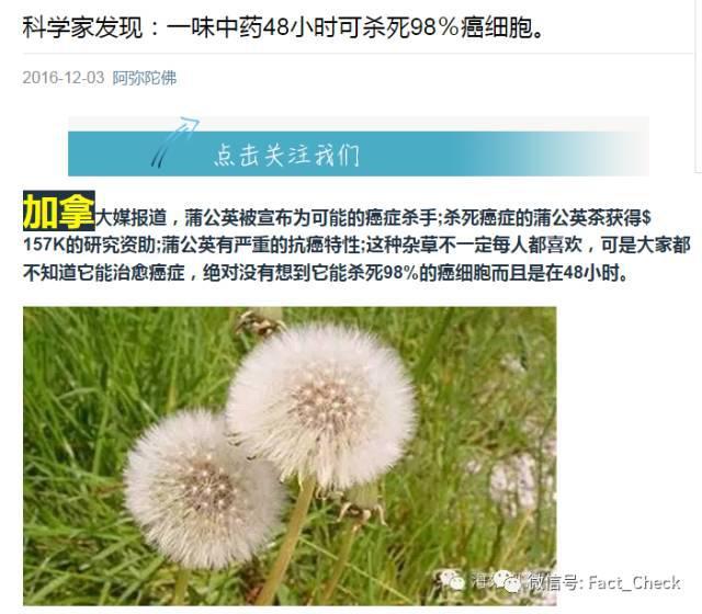 加拿大科学家蒲公英能在48小时内杀死98%的癌细胞靠谱吗