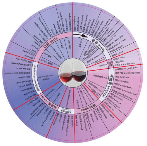 葡萄酒品鉴味觉与嗅觉感受是怎样的用数字描述葡萄酒的风味特征