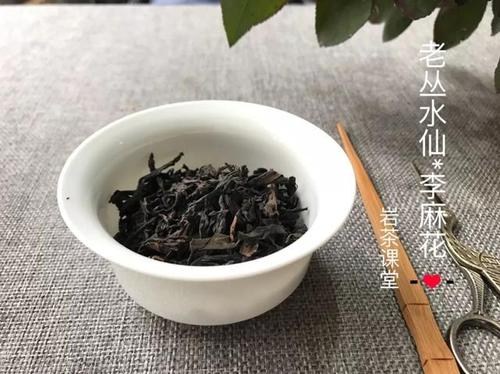 武夷岩茶中香不过肉桂醇不过水仙是什么意思