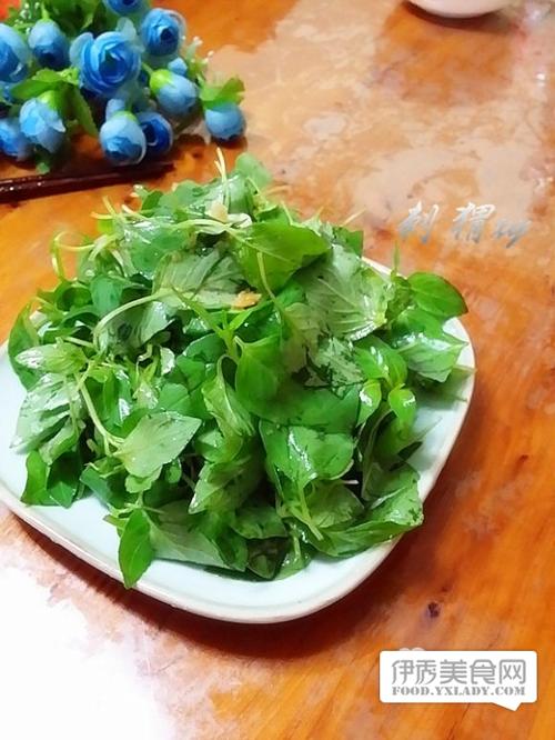 荆芥怎么吃_荆芥怎么吃好吃又简单