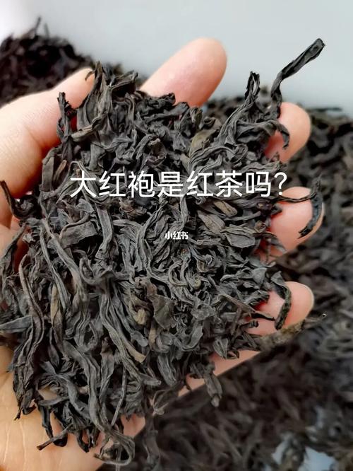 茶丨大红袍不是红茶那是什么茶