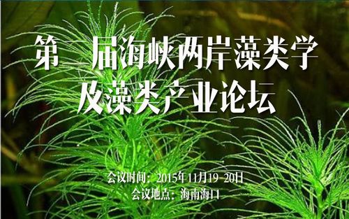 儿童健康智能与绿色生态圈融合发展高峰论坛在海口举行