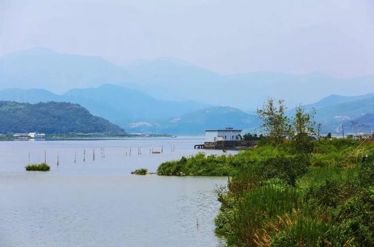 宁波城东藏着一处湿地湖光山色秀美却少有人来是休闲垂钓胜地