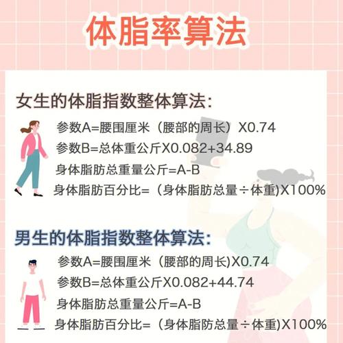 体脂率是什么保持在多少算正常教你计算方法