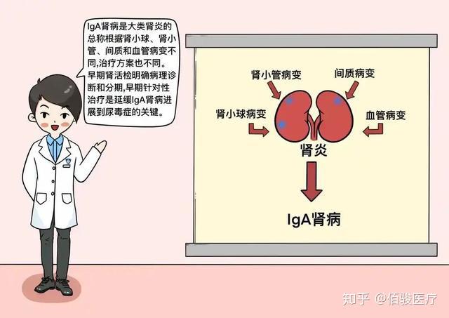 遗传性肾炎是慢性肾炎有遗传异质性基因突变造成要对症治疗