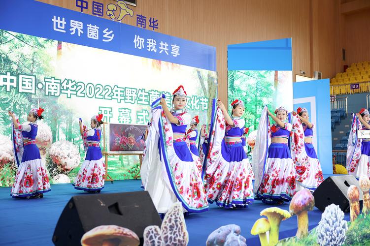 节庆云南 - 中国·南华第二十届野生菌美食文化节开幕