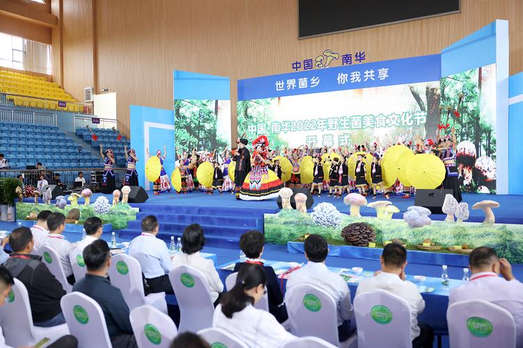 节庆云南 - 中国·南华第二十届野生菌美食文化节开幕