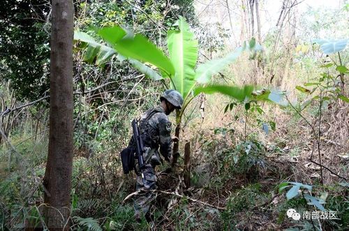 野外生存指南荒郊野岭如何寻找净化水源几个技巧学起来