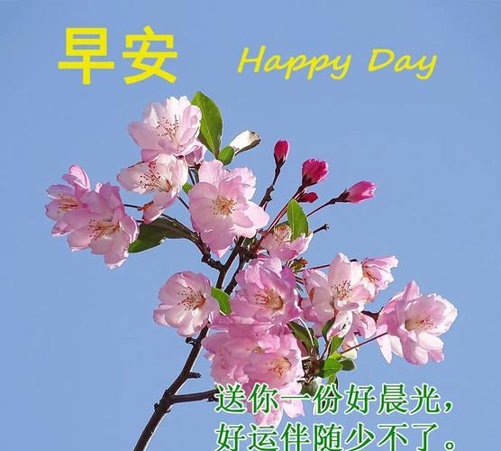 早安图片漂亮温馨的祝福图片早安问候语早上好问候祝福语