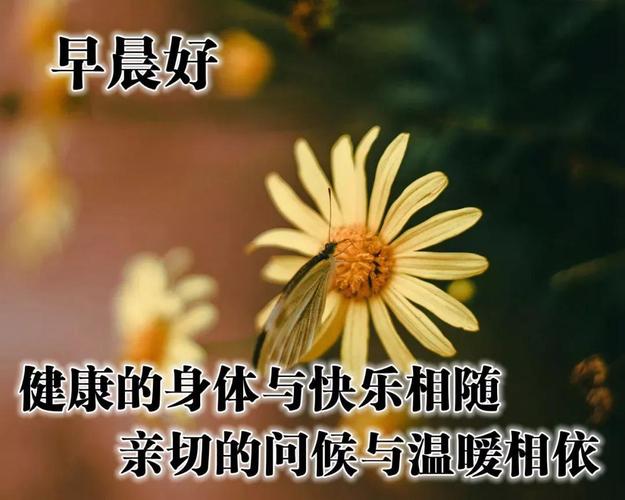 早安图片早上好唯美祝福图片暖心问候语大全