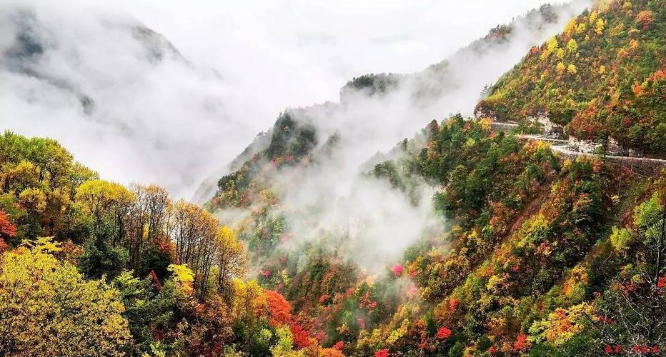 白雪梨的绚丽景色犹如云端仙境，悠闲自然，美不胜收