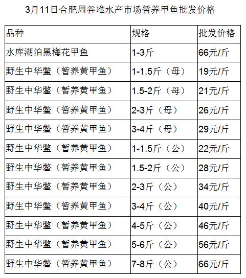 甲鱼价格查询及市场行情解析