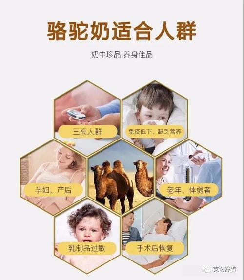 骆驼奶营养价值比牛奶高为何乳业市场主流依旧是牛奶