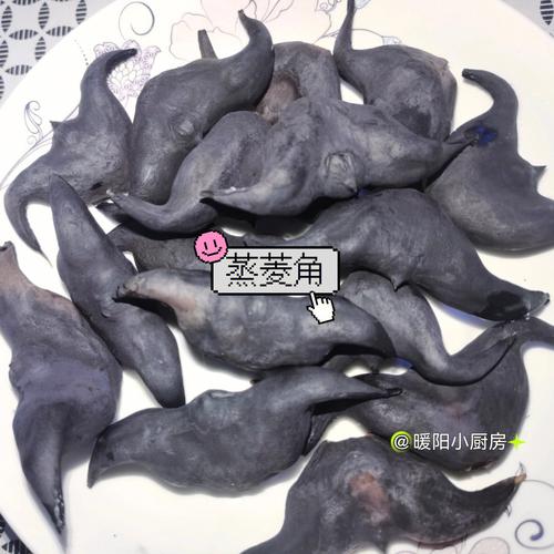 菱角怎么吃_菱角怎么吃怎么做