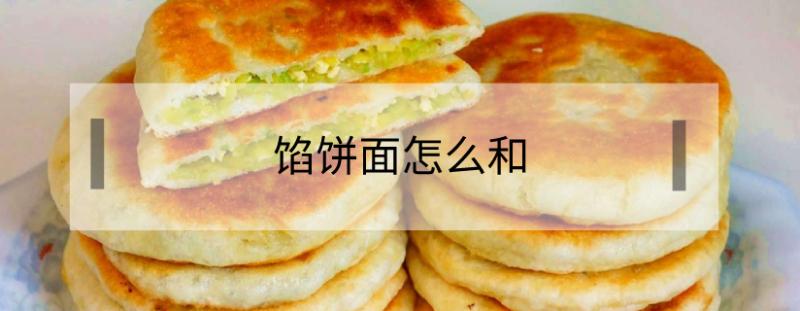 馅饼面怎么和_馅饼面怎么和又软又好吃