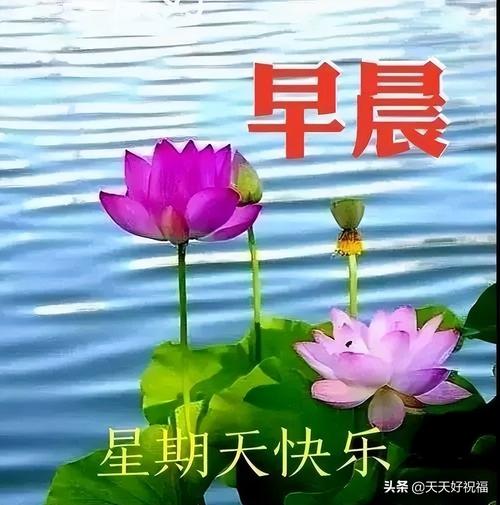 8月27日周日早上好唯美祝福语图片大全