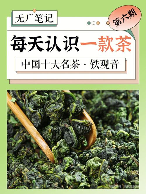 茶文化之中国十大名茶（铁观音）