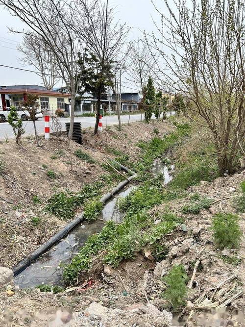 粉扑厂污水直排 临时自来水管泡在污水中