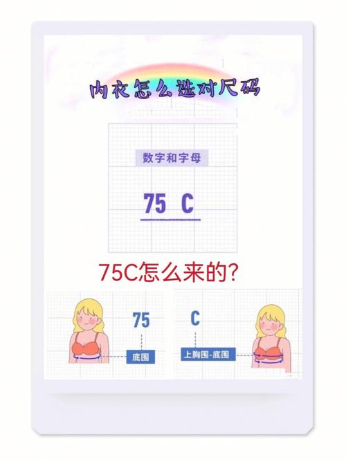 买内衣_买内衣怎么选尺寸