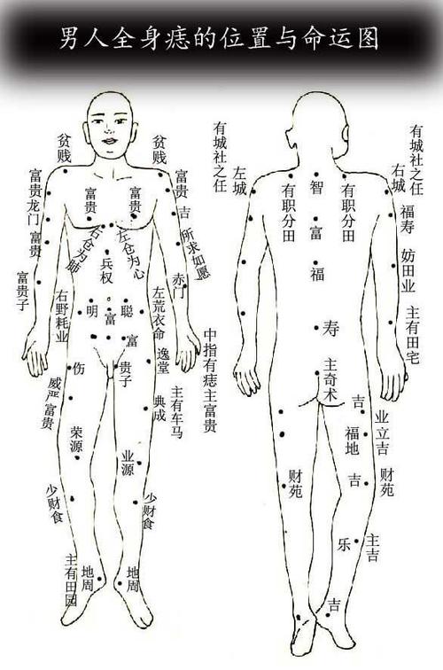 人体痣相图_人体痣相图解大全 全身